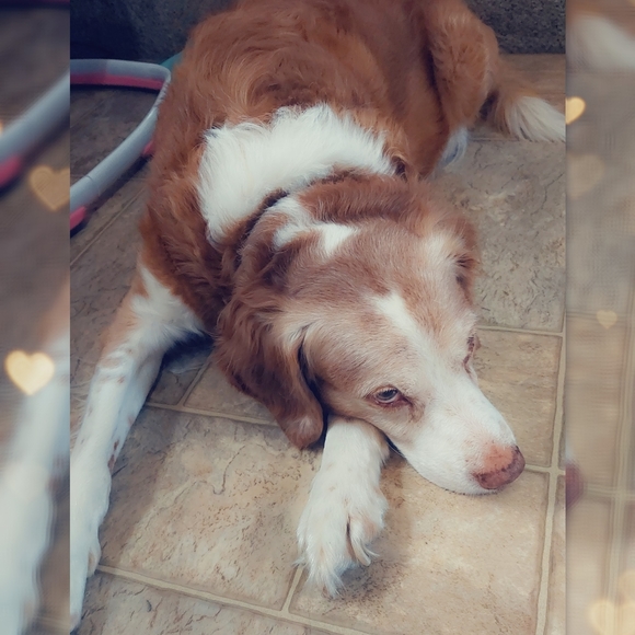 Hey im Chelsea 💀🌼 - Picture 2 of 12